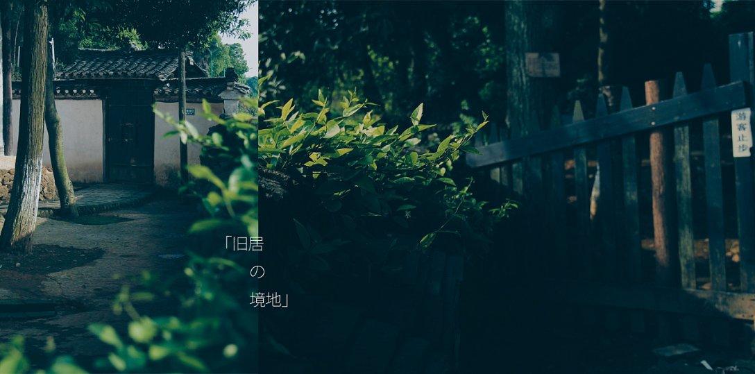 逗小猴开心系列195